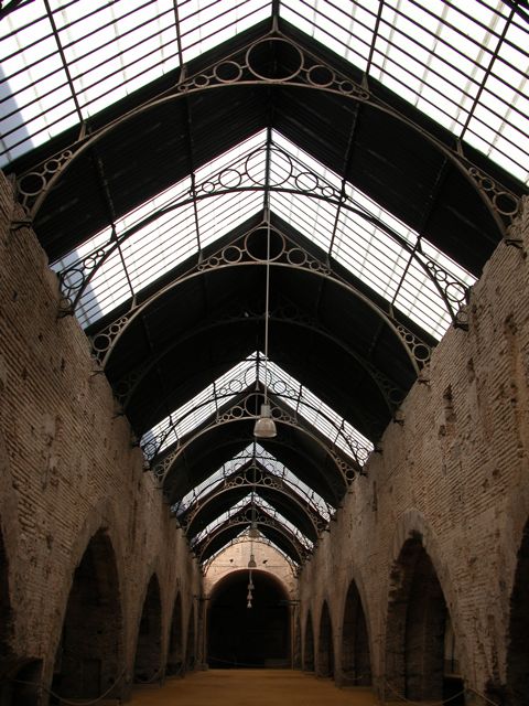 DSCN5318.jpg