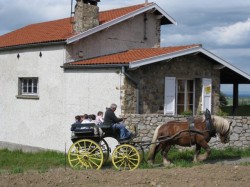Post image for Fabulous France: Further Efforts at Elegance