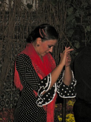 Flamenco Dancer Clapping Her Hands