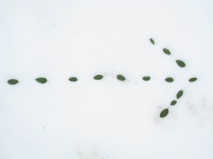 Post image for Tell Gina Where to Go…An Experiment in Interactive Travel/Blogging