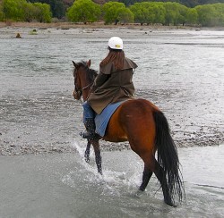 Post image for New Zealand: Cantering Near Canterbury