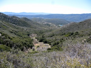 Garner Valley View