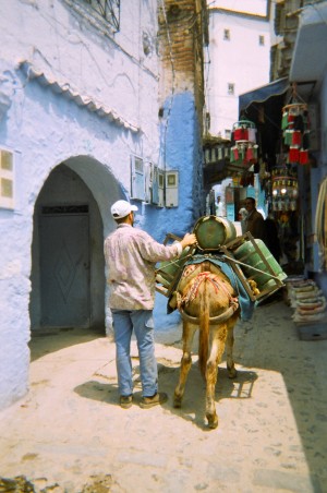 Post image for Morocco Memories: Donkey Park n’ Rides, Fish Juice & Unexpected Beauty