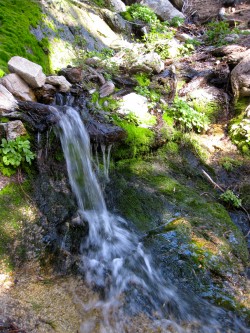 Post image for Hiking Stats: Nature Makes Me a Fool