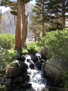 creek-on-mount-whitney-trail-california