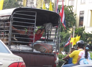 tuk-tuk-hammock-bangkok-thailand