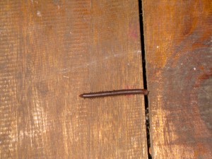 milling-milipede-thailand