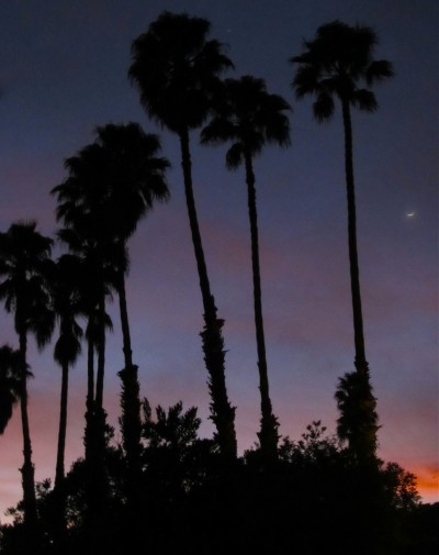 Post image for Santa Barbaraaahhhh Beach Walking, Site Gawking