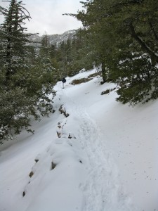 snowshoeing-in-idyllwild