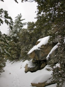 devils-slide-trail-in-snow-idyllwild-california
