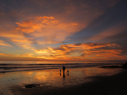 walking-dogs-on-the-beach-at-sunset-santa-barbara-california.jpg Walking dogs on the beach, sunset, Santa Barbara, California