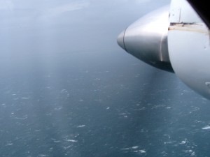 image-small-plane-over-stormy-seas-from-stewart-island